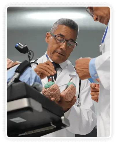 science behind the brain song